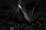 Gear X sprūdrata skrūvgriezis - Image 7