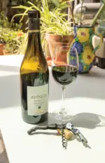 Vino viesmīļa korķviļķis - Image 9