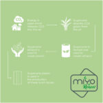 MIYO Renew 700 ml vienkāršā pusdienu kaste - Image 7