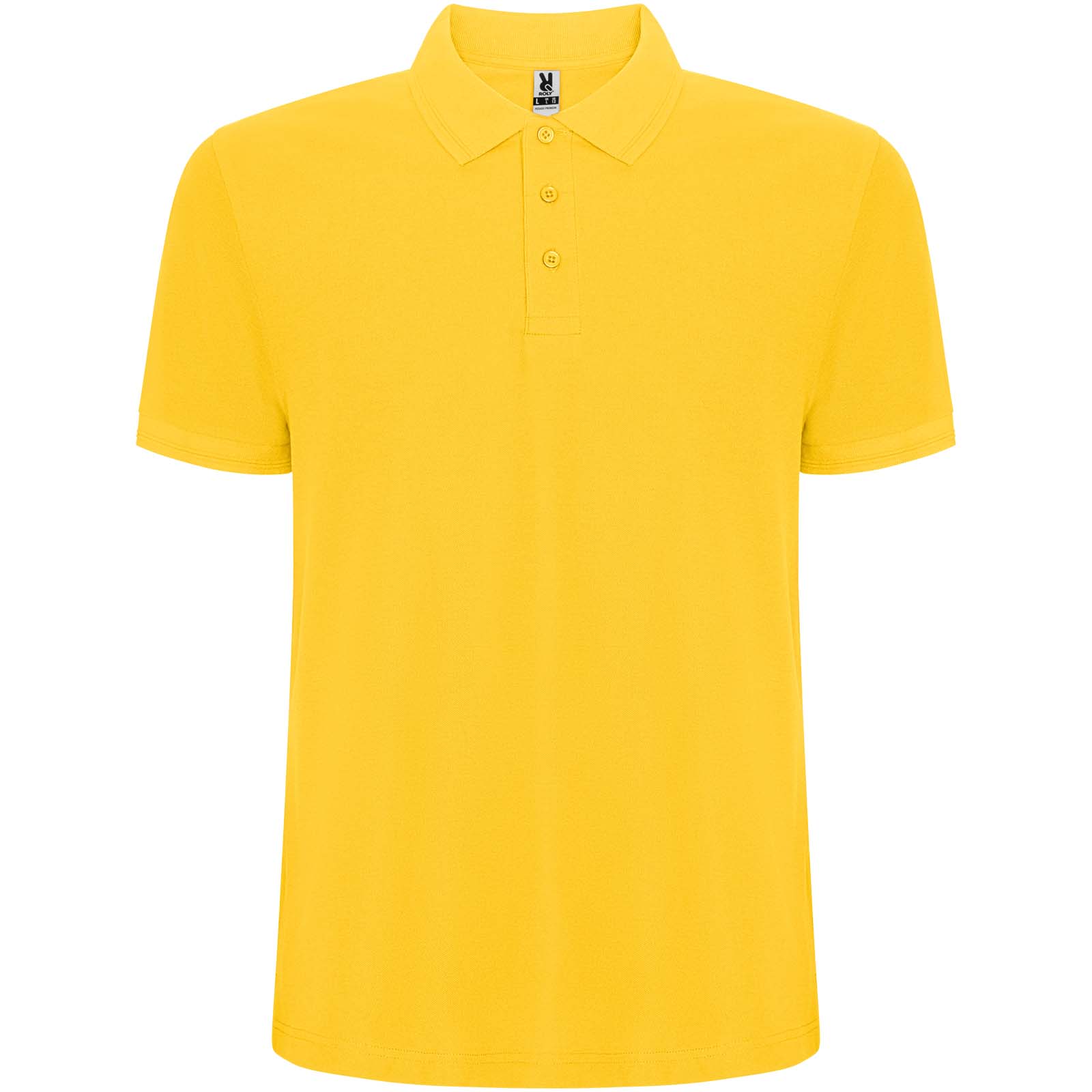 R66091B.jpg Pegaso Premium 220 g/m² vīriešu polo krekls ar īsām piedurknēm - Image 1